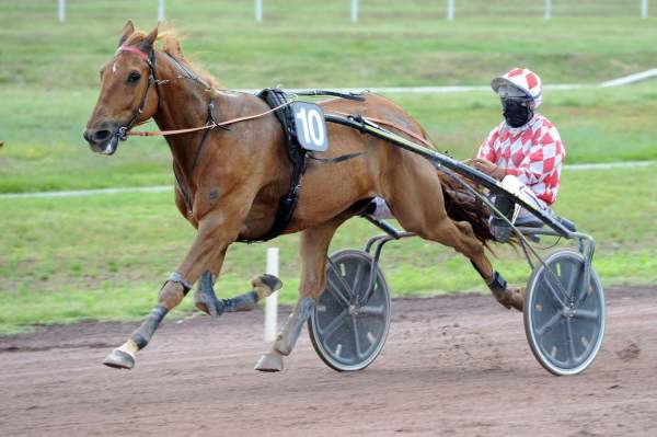 CRACK MONEY Quinté+ Prix de Cognat-Lyonne 2020 Vichy