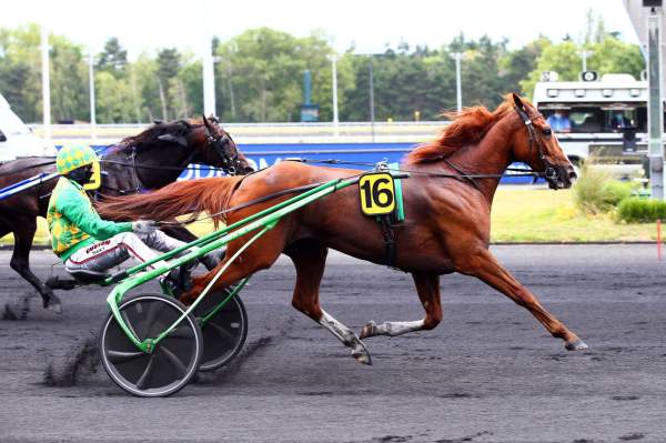 Dorgos De Guez Quinté+ Pmu Prix Bertrand Deloison 2020 à Vincennes