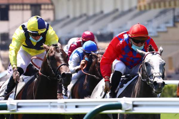 Koskov Quinté Pmu Prix du Petit Pré 2020 à Paris-Longchamp