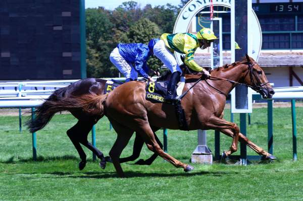 Skazino Quinté+ Pmu Prix du Berval 2020 à Compiègne
