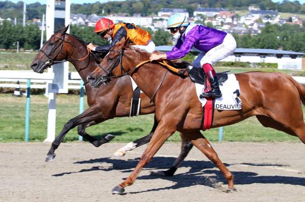 Deer Bere Course Pmu Pick5 Prix de Camembert 2020 Ã Deauville