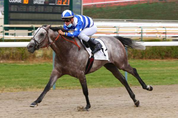 SUNDAY WINNER