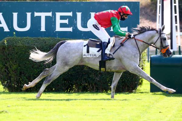 Le Berry Course Pmu Prix The Fellow - Marquise de Moratalla 2020 Ã Auteuil