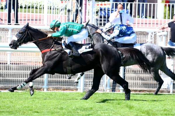 Alna Top Quinté+ Pmu Prix Calabrais 2020 à Auteuil