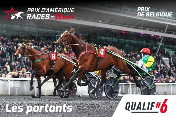 Davidson Du Pont Prix d'Amérique Races ZEturf, Prix de Belgique, Qualif #6