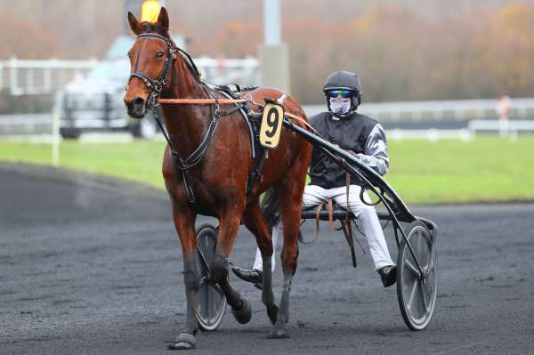 GIGA D'OURVILLE