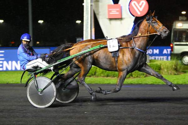 Equiano Arrivée Quinté+ Pmu Prix Austria à Vincennes