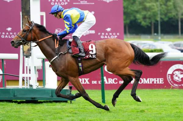Trueshan Arrivée Quinté+ Pmu Qatar Prix du Cadran 2021 à ParisLongchamp