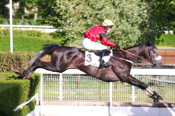 APPLE 'S PIERRO