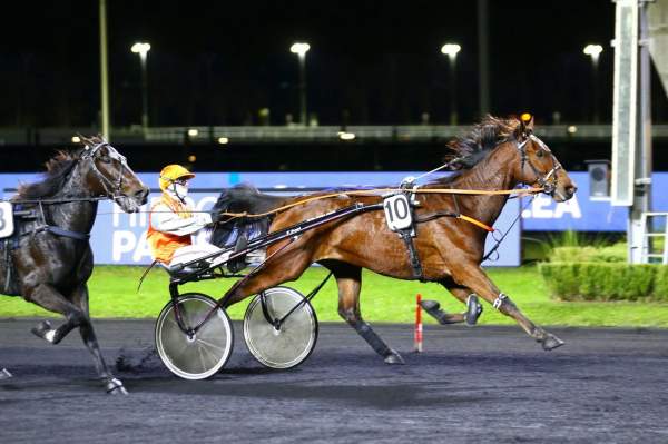 Fogo Pico Arrivée Quinté PMU PRIX GALLEA Hippodrome de VINCENNES
05/11/2021