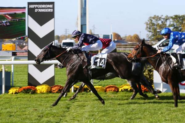 Madison Avenue Arrivée Quinté PMU ANDICAP D'ANGERS LOIRE METROPOLE Hippodrome d'ANGERS
09/11/2021