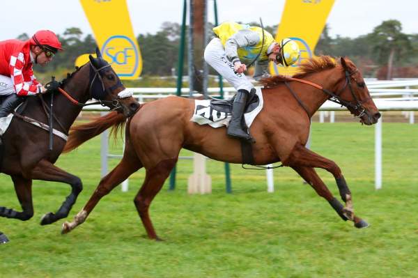 AIGLE