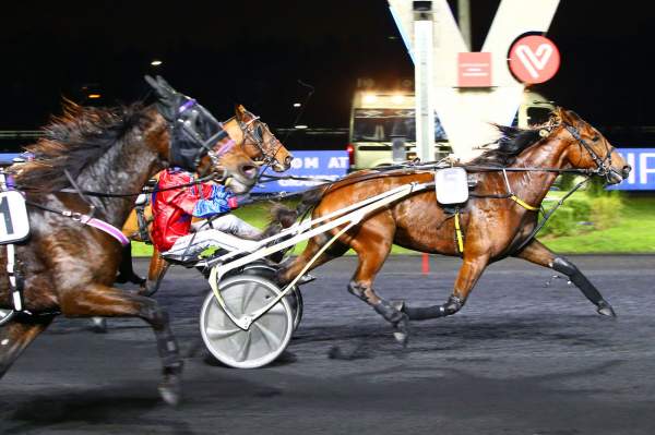 Fantasia De Ligny Arrivée Quinté PMU PRIX MIZAR Hippodrome de VINCENNES 19/11/2021
