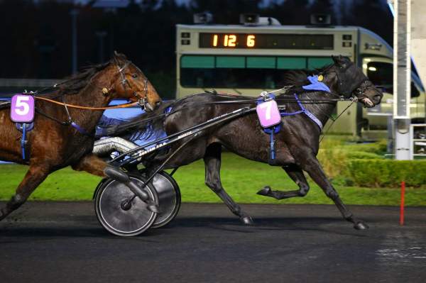 Ghost Des Charrons Arrivée PMU Pick5 Le Trot Open des Régions - 5 Ans, Vincennes