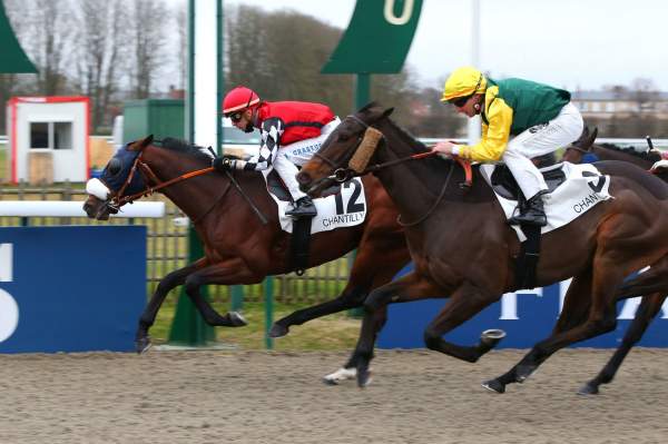 Nordeste Arrivée PRIX DE LA PISTE DES LIONS - QUINTE + Hippodrome de CHANTILLY 07/12/2021