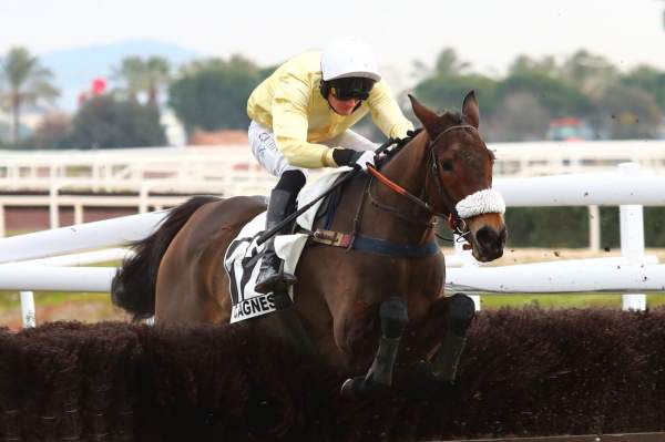JOAILLERIE
