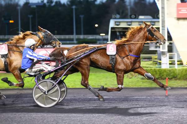 Galius ARRIVEE PRIX D'AMERIQUE RACES ZETURF Q4 - C1 - G2 HIPPODROME DE VINCENNES 26/12/2021