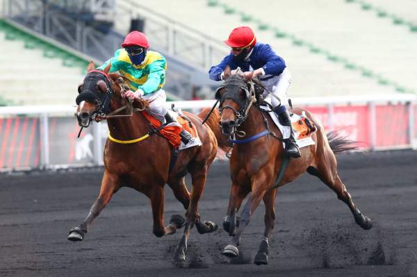 Flamme Du Goutier Course Pmu Prix des Centaures 2021 à Paris Vincennes