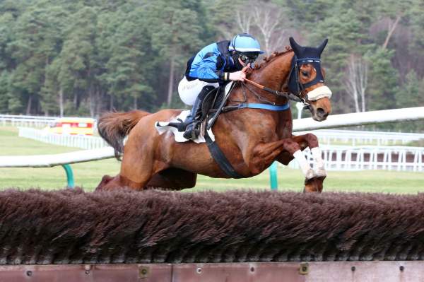 CHESTNUT DREAM