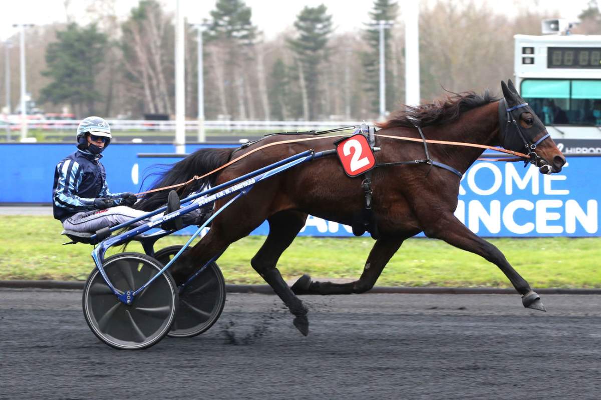 Pronostic Quinté+ Prix Jean Dumouch (Gr. III), dimanche à Vincennes ...