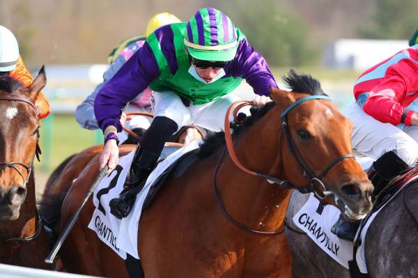 Bakoel Koffie Arrivée Quinté PMU Prix de l'Allée des Philosophes Hippodrome de Chantilly 02/03/2021