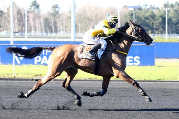 Hallix Arrivée PMU Prix Louis le Bourg Hippodrome de Vincennes 06/03/2021