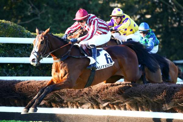 Polirico Course Pmu Prix Juigné 2021 à Auteuil