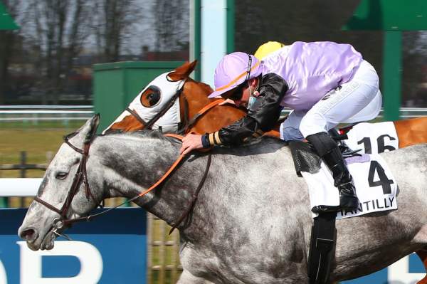 Senator Frost Arrivée Quinté PMU Prix Jocker Hippodrome de Chantilly 09/03/2021