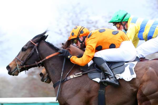 Berjou Arrivée Pmu Prix Hubert d'Aillières 2021 à Auteuil