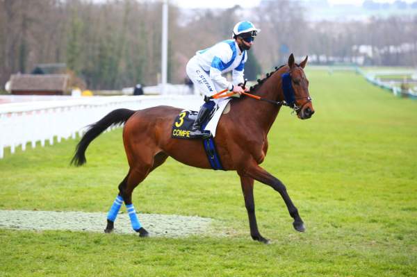 PLANTEUR DAVIER
