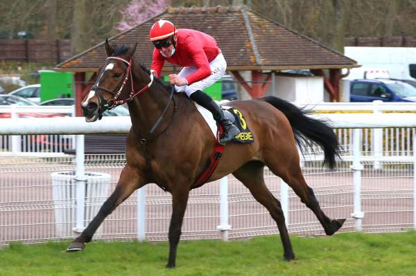 RIBOT DREAM
