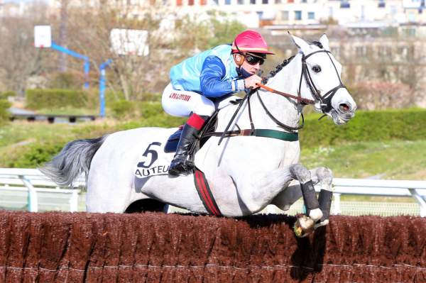 HASHCUP COLLONGES