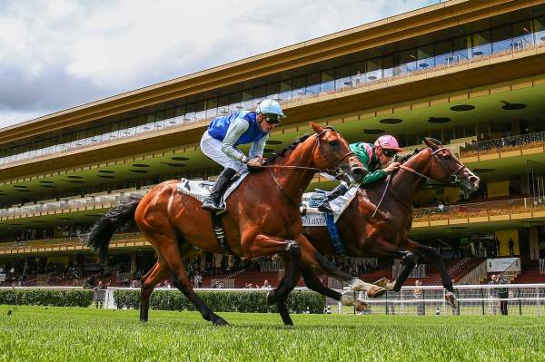 Hippodrome De Longchamp