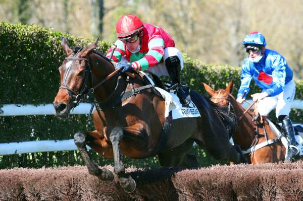 ROYALE BOEMIE HAS