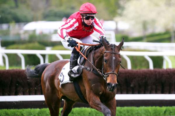 Haut Les Coeurs Course PMU Prix de Pépinvast 2021 à Auteuil