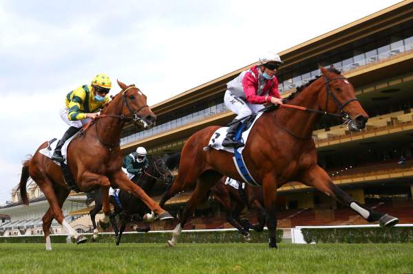 Policy Of Truth Arrivée PMU Prix de Fontainebleau Hippodrome de Longchamp 18/04/2021