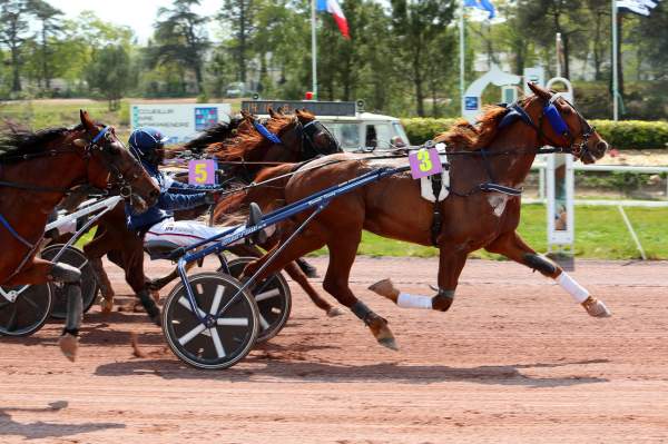 Detroit Ace Arrivée Quinté PMU Prix de la Ville de Pontchateau Hippodrome de Pontchateau 21/04/2021