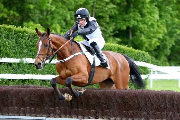 GO ON DE SIVOLA