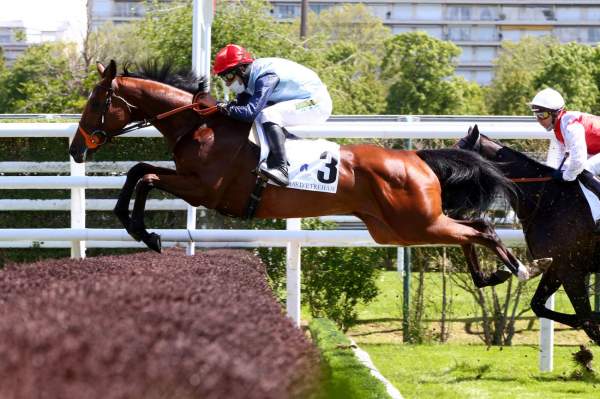 Matilda Du Berlais Arrivée PMU Prix haras d'Etreham Prix d'Iena Hippodrome de'Auteuil 22/05/2021