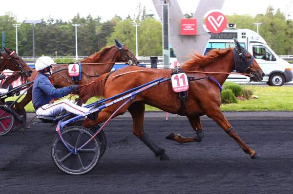 Inoubliable Arrivée PMU Prix Ozo - Sulky 3 ans Qualif 4 à Paris Vincennes