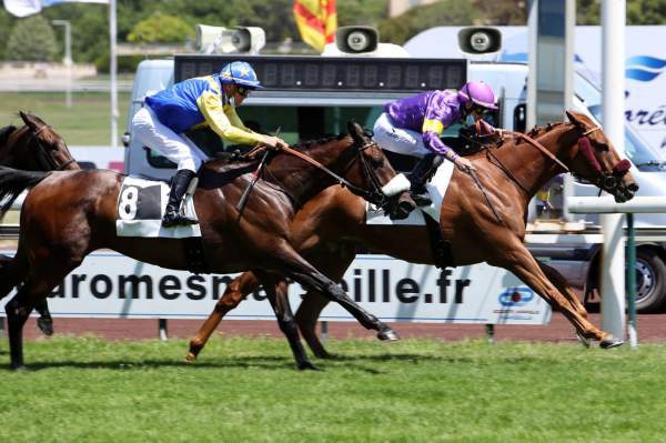 Azachop Arrivée Quinté PMU Prix Louis Brunet Hippodrome de Marseille 31/05/2021