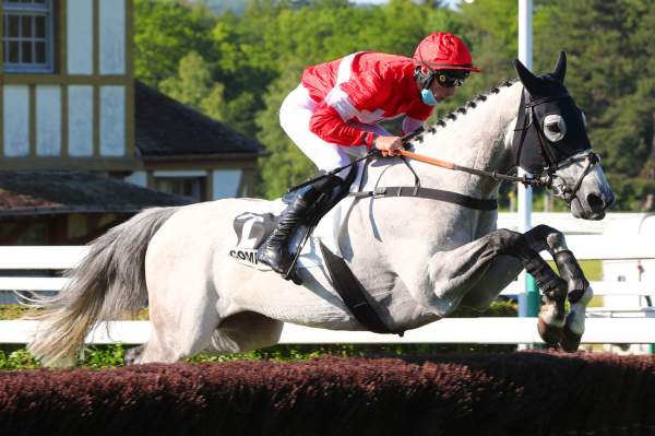 DUC DES GENIEVRES