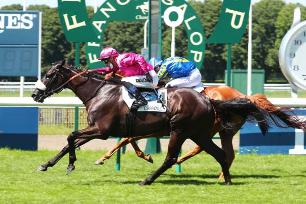 Panjaman Arrivée Quinté PMU Prix de la Foret de Chantilly Hippodrome de Chantilly 18/07/2021