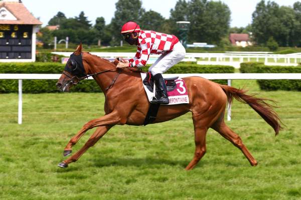 FEE D'ESPOIR