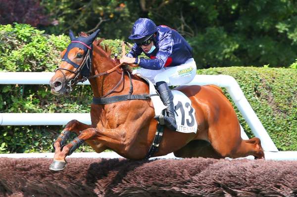 Grand Art Arrivée Quinté+ Pmu Prix Jean Bart 2021 à Auteuil