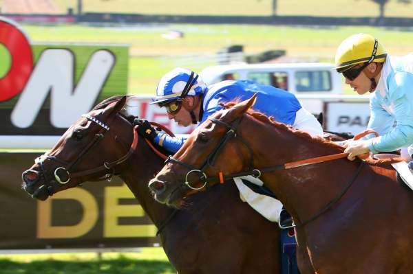 Ataared Arrivée Pmu PRIX HARAS DE BOUQUETOT - CRITERIUM DE L'OUEST Hippodrome de CRAON 06/09/2021