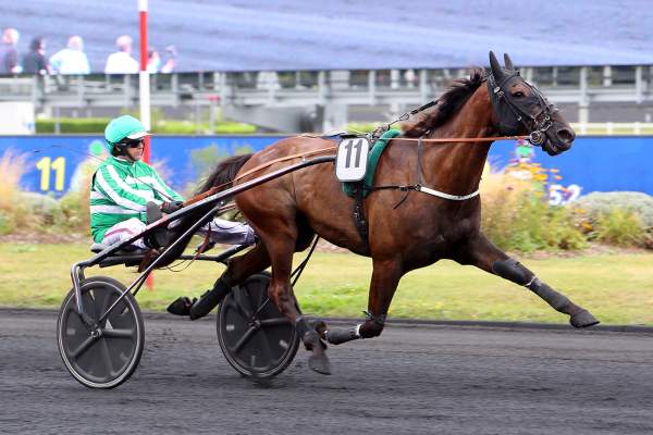 Elmagnifico De Lou Arrivée Quinté+ Pmu Prix d'Eaubonne 2021 à Vincennes