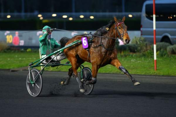 Guiness D'herfraie Arrivée course PMU Pick5 Prix de Tence à Vincennes