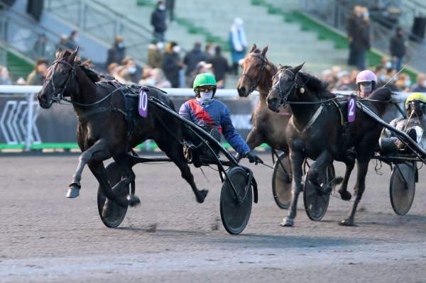 Dusktodawn Boogie Arrivée PMU Pick5 Prix Charles Tiercelin 2022 à Vincennes