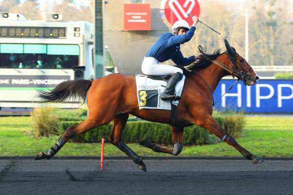 Go For The Gold ARRIVEE PRIX DE POLIGNY HIPPODROME DE VINCENNES 11/01/2022